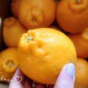 ヒメ日記 2026/01/22 12:29 投稿 つかさ 池袋人妻ヒットパレード（シンデレラグループ）