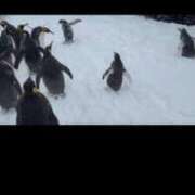 ヒメ日記 2026/02/09 08:43 投稿 つかさ 池袋人妻ヒットパレード（シンデレラグループ）