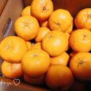 ヒメ日記 2026/02/20 08:58 投稿 つかさ 池袋人妻ヒットパレード（シンデレラグループ）