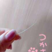 ヒメ日記 2026/03/19 10:44 投稿 つかさ 池袋人妻ヒットパレード（シンデレラグループ）