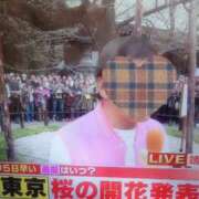 ヒメ日記 2026/03/20 08:49 投稿 つかさ 池袋人妻ヒットパレード（シンデレラグループ）