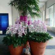 ヒメ日記 2026/04/10 17:00 投稿 つかさ 池袋人妻ヒットパレード（シンデレラグループ）