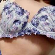 ヒメ日記 2025/08/12 08:04 投稿 峰岸 ローズマリー大塚