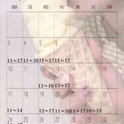 ヒメ日記 2026/07/28 07:37 投稿 峰岸 ローズマリー大塚