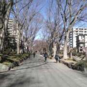 ヒメ日記 2025/02/08 20:14 投稿 さいり 熟女の風俗最終章 蒲田店