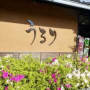 ヒメ日記 2025/03/09 15:56 投稿 さいり 熟女の風俗最終章 蒲田店