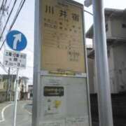 ヒメ日記 2025/04/01 02:00 投稿 さいり 熟女の風俗最終章 蒲田店