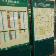 ヒメ日記 2025/06/13 02:50 投稿 さいり 熟女の風俗最終章 蒲田店