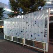 ヒメ日記 2025/07/07 21:31 投稿 さいり 熟女の風俗最終章 蒲田店