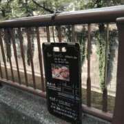 ヒメ日記 2025/08/07 01:40 投稿 さいり 熟女の風俗最終章 蒲田店