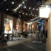 ヒメ日記 2025/11/19 22:06 投稿 さいり 熟女の風俗最終章 蒲田店