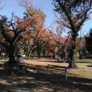 ヒメ日記 2025/11/23 22:01 投稿 さいり 熟女の風俗最終章 蒲田店