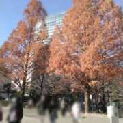 ヒメ日記 2025/12/12 19:27 投稿 さいり 熟女の風俗最終章 蒲田店