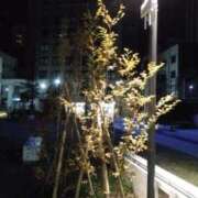 ヒメ日記 2025/12/18 01:50 投稿 さいり 熟女の風俗最終章 蒲田店