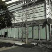 ヒメ日記 2025/12/29 21:30 投稿 さいり 熟女の風俗最終章 蒲田店