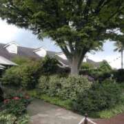 ヒメ日記 2026/01/30 18:50 投稿 さいり 熟女の風俗最終章 蒲田店