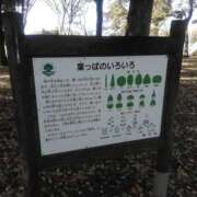 ヒメ日記 2026/02/11 02:00 投稿 さいり 熟女の風俗最終章 蒲田店