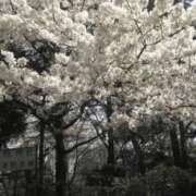 ヒメ日記 2026/03/09 19:31 投稿 さいり 熟女の風俗最終章 蒲田店