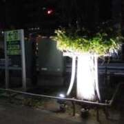 ヒメ日記 2026/03/19 22:52 投稿 さいり 熟女の風俗最終章 蒲田店