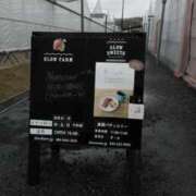 ヒメ日記 2026/03/25 19:20 投稿 さいり 熟女の風俗最終章 蒲田店