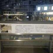 ヒメ日記 2026/03/26 01:50 投稿 さいり 熟女の風俗最終章 蒲田店