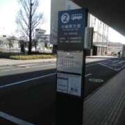 ヒメ日記 2026/04/02 19:00 投稿 さいり 熟女の風俗最終章 蒲田店