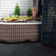 ヒメ日記 2026/04/11 00:40 投稿 さいり 熟女の風俗最終章 蒲田店