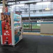 ヒメ日記 2026/06/25 06:30 投稿 さいり 熟女の風俗最終章 蒲田店
