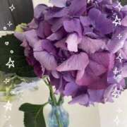 ヒメ日記 2025/06/25 17:06 投稿 りりか マリン宇都宮店