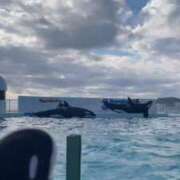 ヒメ日記 2026/01/06 22:46 投稿 りりか マリン宇都宮店