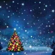 ヒメ日記 2024/12/20 11:47 投稿 めい 岐阜岐南各務原ちゃんこ