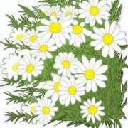 ヒメ日記 2024/12/20 23:47 投稿 めい 岐阜岐南各務原ちゃんこ