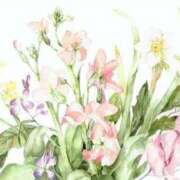 ヒメ日記 2024/12/31 16:27 投稿 めい 岐阜岐南各務原ちゃんこ