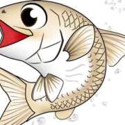 ヒメ日記 2025/01/04 17:50 投稿 めい 岐阜岐南各務原ちゃんこ