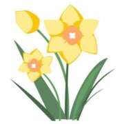 ヒメ日記 2025/01/27 23:28 投稿 めい 岐阜岐南各務原ちゃんこ