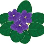 ヒメ日記 2025/01/27 23:38 投稿 めい 岐阜岐南各務原ちゃんこ