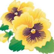 ヒメ日記 2025/02/07 19:27 投稿 めい 岐阜岐南各務原ちゃんこ