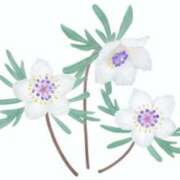 ヒメ日記 2025/02/07 23:08 投稿 めい 岐阜岐南各務原ちゃんこ