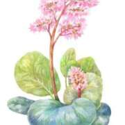 ヒメ日記 2025/02/11 22:57 投稿 めい 岐阜岐南各務原ちゃんこ