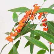 ヒメ日記 2025/02/20 19:57 投稿 めい 岐阜岐南各務原ちゃんこ