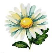 ヒメ日記 2025/02/20 22:57 投稿 めい 岐阜岐南各務原ちゃんこ