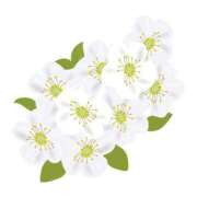 ヒメ日記 2025/02/28 19:37 投稿 めい 岐阜岐南各務原ちゃんこ