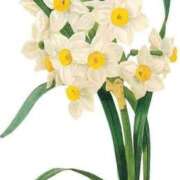 ヒメ日記 2025/03/06 19:37 投稿 めい 岐阜岐南各務原ちゃんこ