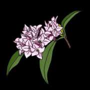 ヒメ日記 2025/03/19 19:27 投稿 めい 岐阜岐南各務原ちゃんこ