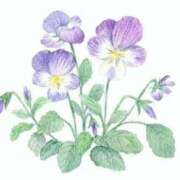 ヒメ日記 2025/03/19 22:57 投稿 めい 岐阜岐南各務原ちゃんこ