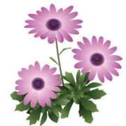 ヒメ日記 2025/04/18 21:37 投稿 めい 岐阜岐南各務原ちゃんこ