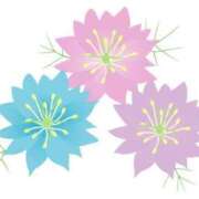 ヒメ日記 2025/04/19 00:37 投稿 めい 岐阜岐南各務原ちゃんこ