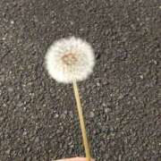 ヒメ日記 2025/04/19 14:57 投稿 めい 岐阜岐南各務原ちゃんこ