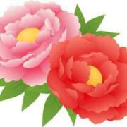 ヒメ日記 2025/05/08 23:27 投稿 めい 岐阜岐南各務原ちゃんこ