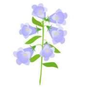 ヒメ日記 2025/05/15 21:27 投稿 めい 岐阜岐南各務原ちゃんこ